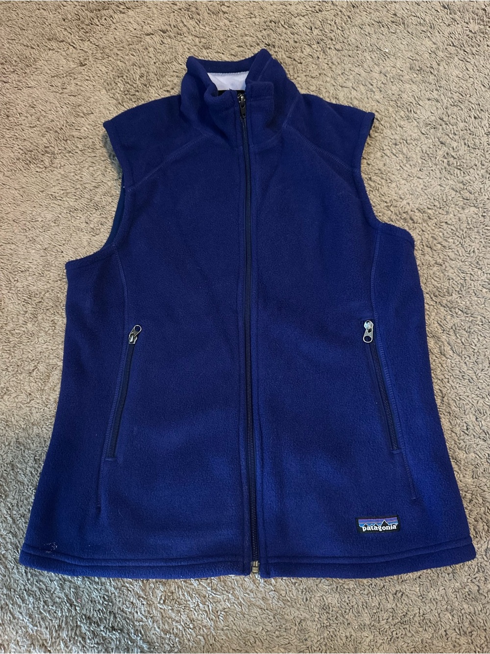 Patagonia Synchilla Fleece Vest in Royal Blue